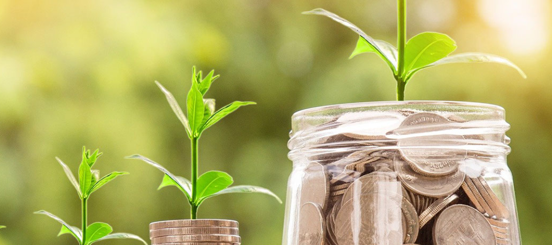 two small stacks of coins with plant sprouts next to a jar of coins with a larger sprout against a sunny background with the text "Stewardship 2021"