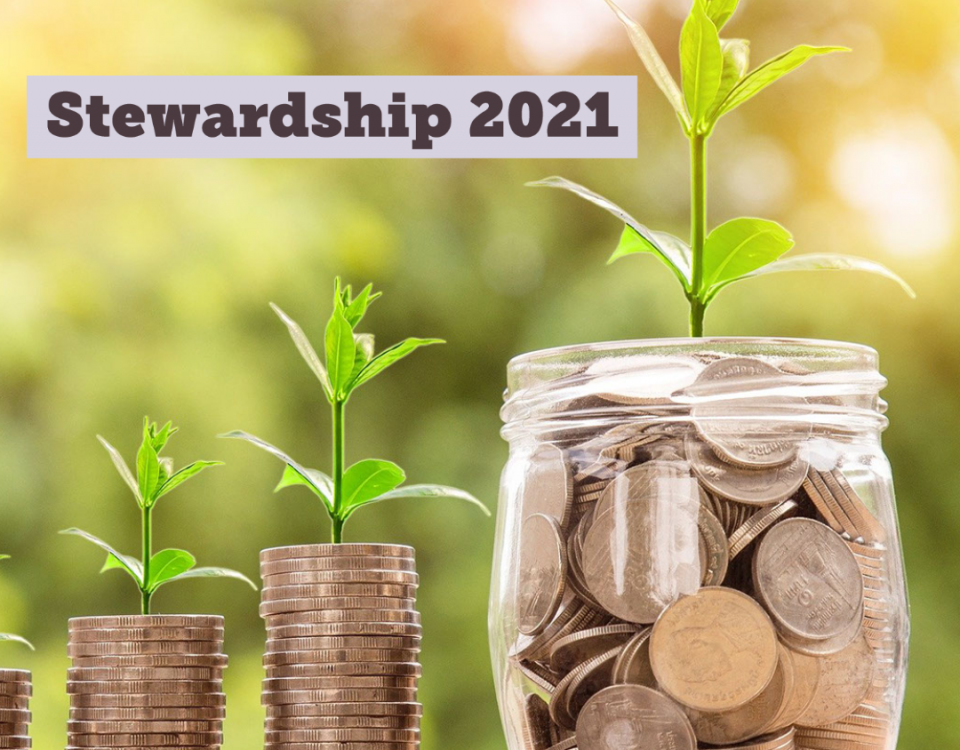 two small stacks of coins with plant sprouts next to a jar of coins with a larger sprout against a sunny background with the text "Stewardship 2021"