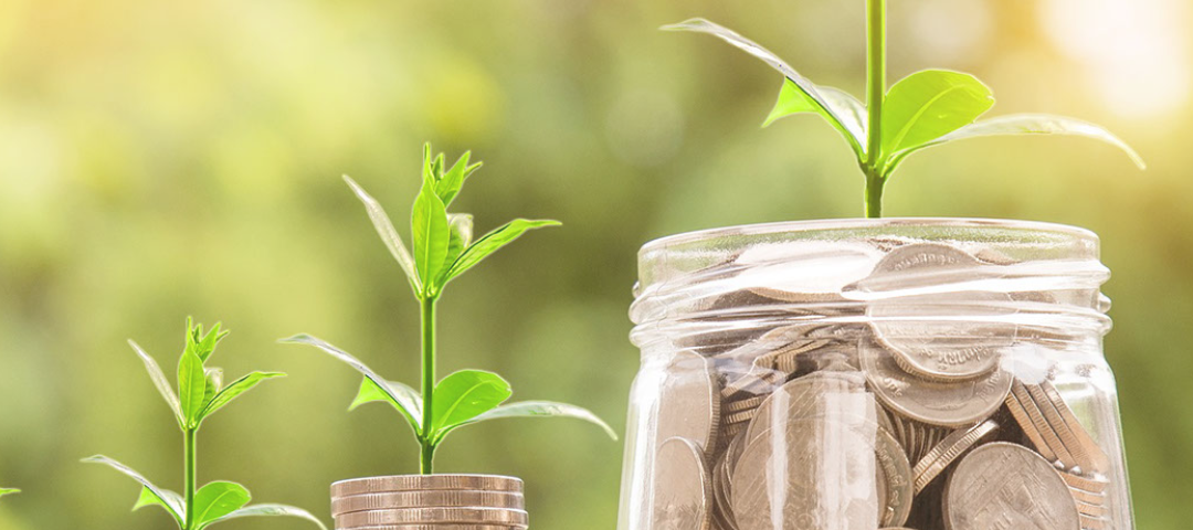 stacks of coins next to a jar of coins with plants growing out of them